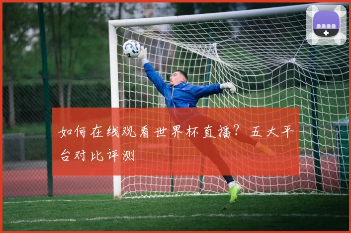 如何在线观看世界杯直播？五大平台对比评测