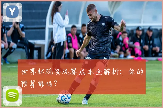 世界杯现场观赛成本全解析：你的预算够吗？