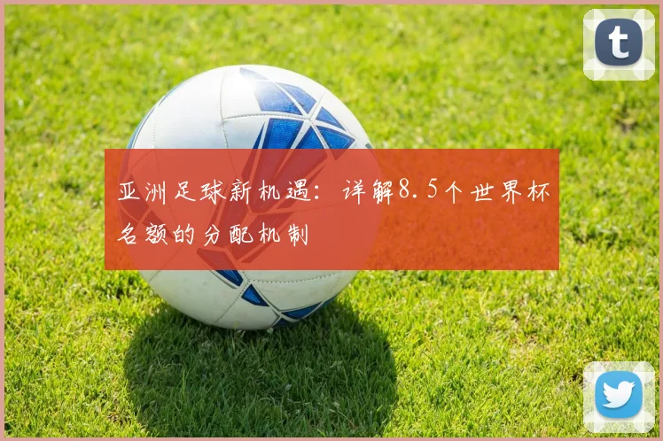 亚洲足球新机遇：详解8.5个世界杯名额的分配机制