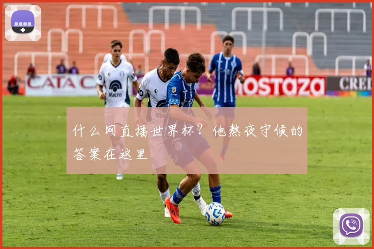 什么网直播世界杯？他熬夜守候的答案在这里