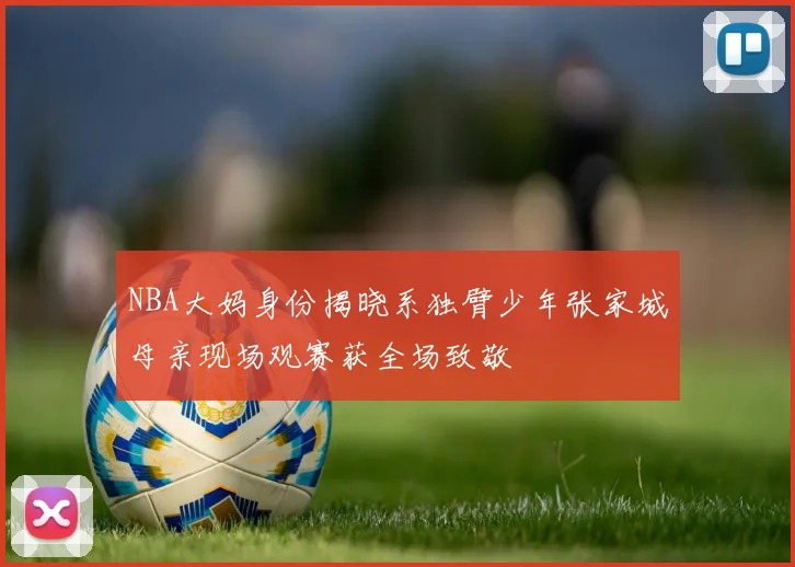 NBA大妈身份揭晓系独臂少年张家城母亲现场观赛获全场致敬