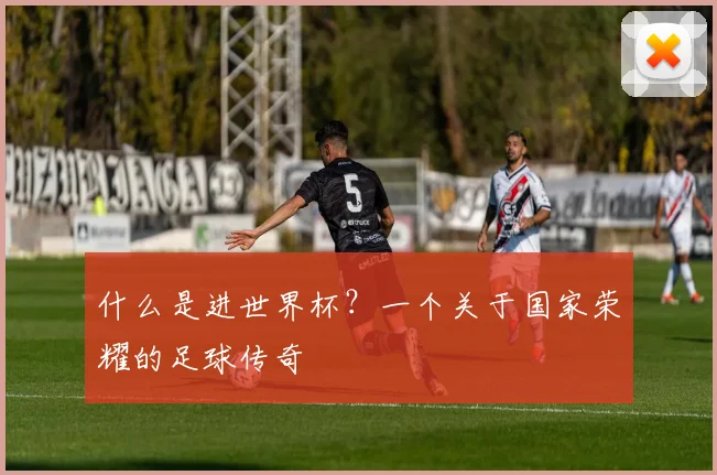 什么是进世界杯？一个关于国家荣耀的足球传奇