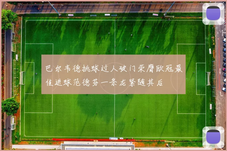 巴尔韦德挑球过人破门荣膺欧冠最佳进球范德芬一条龙紧随其后