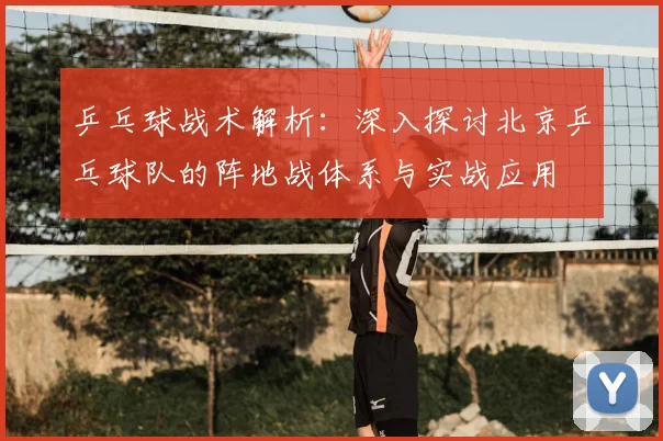 乒乓球战术解析:深入探讨北京乒乓球队的阵地战体系与实战应用