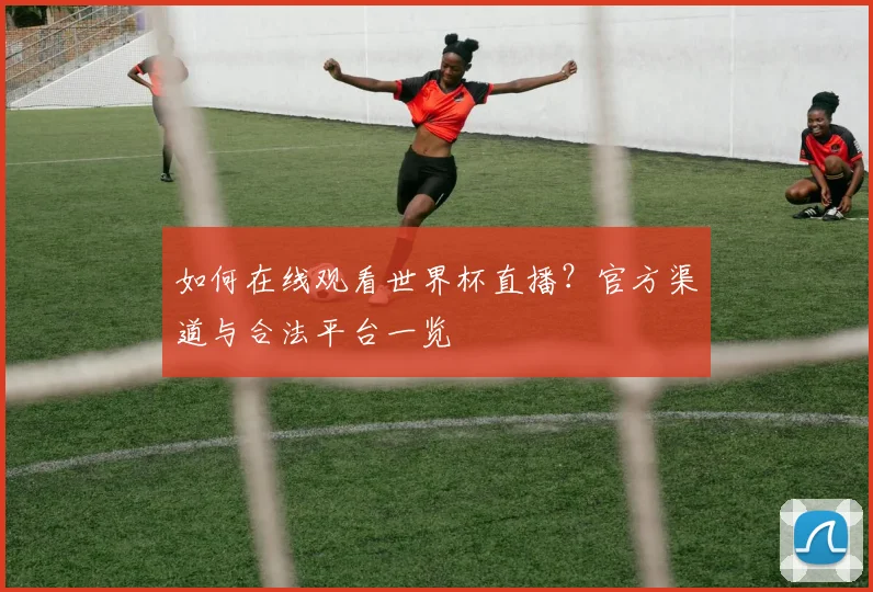 如何在线观看世界杯直播？官方渠道与合法平台一览