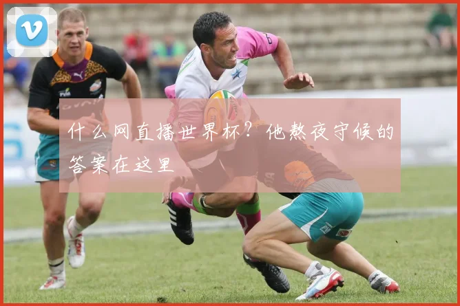 什么网直播世界杯？他熬夜守候的答案在这里