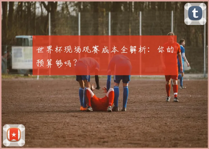 世界杯现场观赛成本全解析：你的预算够吗？