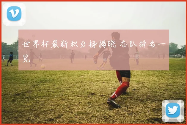 世界杯最新积分榜揭晓 各队排名一览