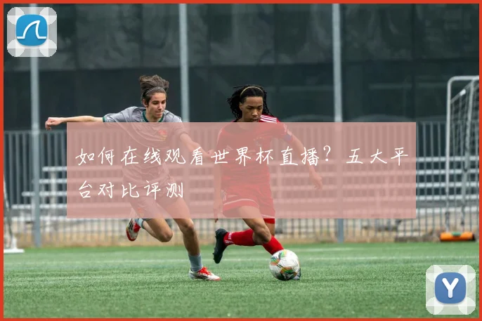 如何在线观看世界杯直播？五大平台对比评测