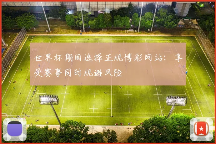 世界杯期间选择正规博彩网站：享受赛事同时规避风险