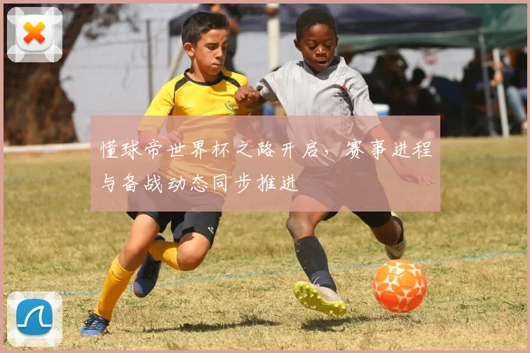 懂球帝世界杯之路开启,赛事进程与备战动态同步推进