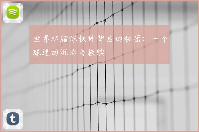 世界杯赌球软件背后的秘密：一个球迷的沉沦与救赎