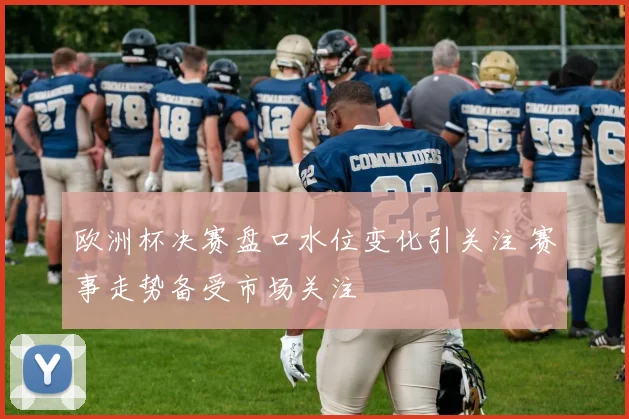 欧洲杯决赛盘口水位变化引关注 赛事走势备受市场关注
