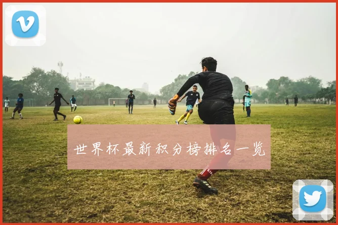 世界杯最新积分榜排名一览